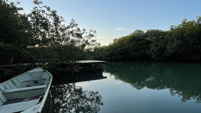 Bah087 - Sitio Villa em meio ao rio e o mar