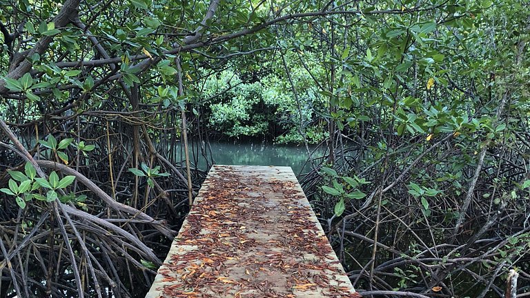 Bah087 - finca Villa entre el rio y el mar