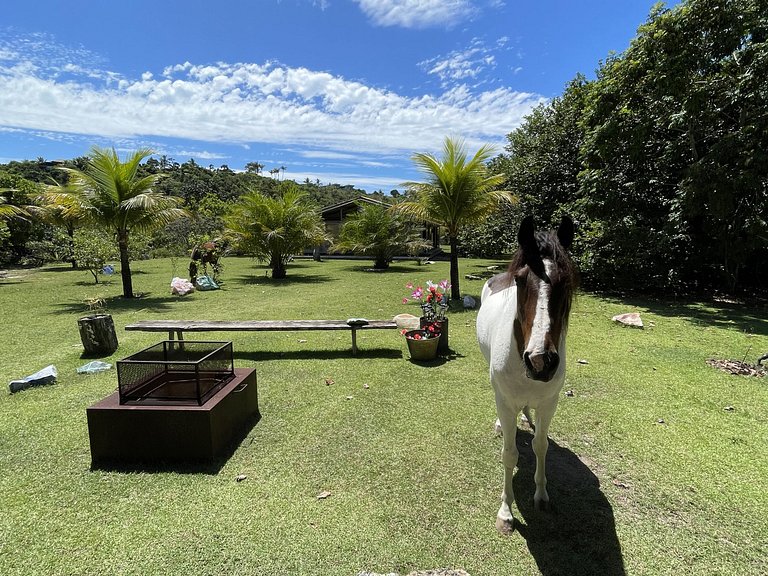 Bah087 -Villa ferme entre rivière et mer Trancoso