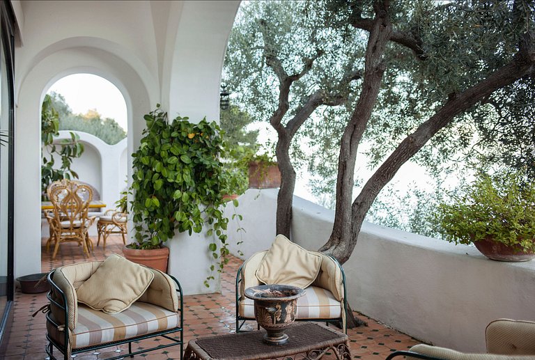 Cam018 - A Villa with stunning views on Capri