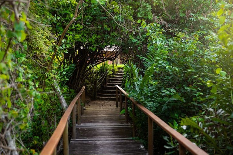 Bah095 - Grande propriedade em Trancoso