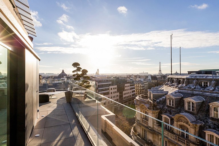 Par006 - Unique penthouse in Paris for rent