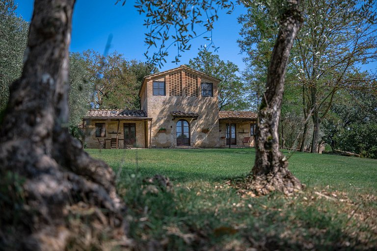 Tus006 - Villa in the wine region in Tuscany