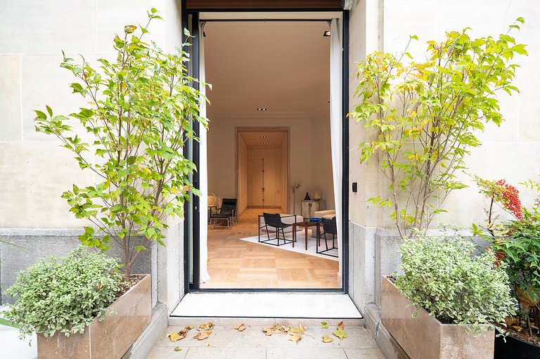 Par043 - Luxury apartment in Walter's building