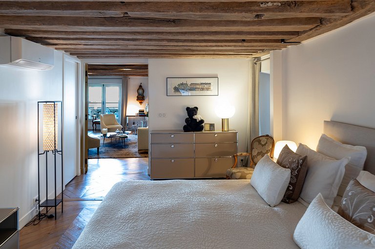 Par055 - Magnifique appartement Quai Saint Antoine