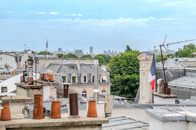 Par015 - Stunning penthouse next to Elysée Palace