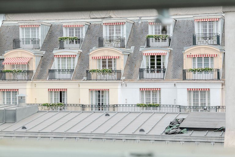 Par015 - Stunning penthouse next to Elysée Palace