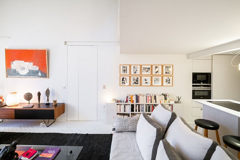 Par087 - Amazing Parisian penthouse with rooftop