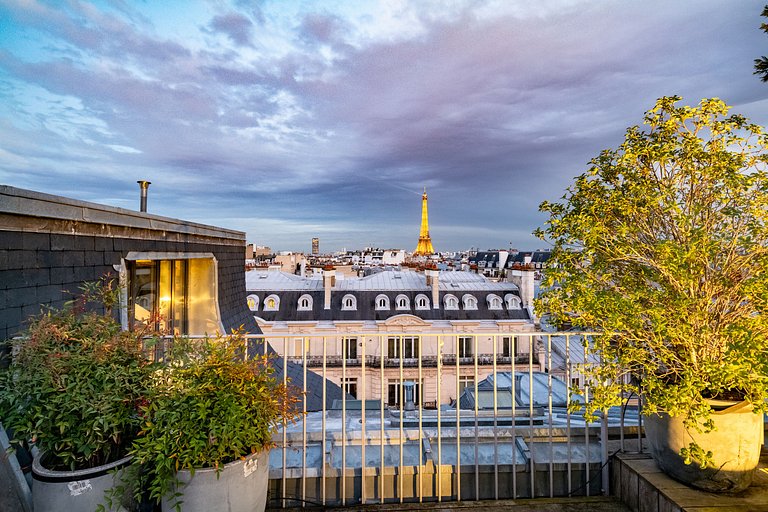 Par087 - Amazing Parisian penthouse with rooftop
