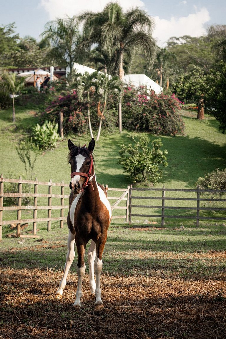 Med001 - Exceptional luxury villa near Medellin
