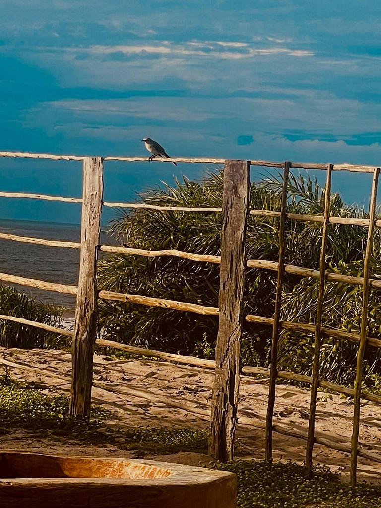 Bah258 - Hermosa casa de playa en Caraíva