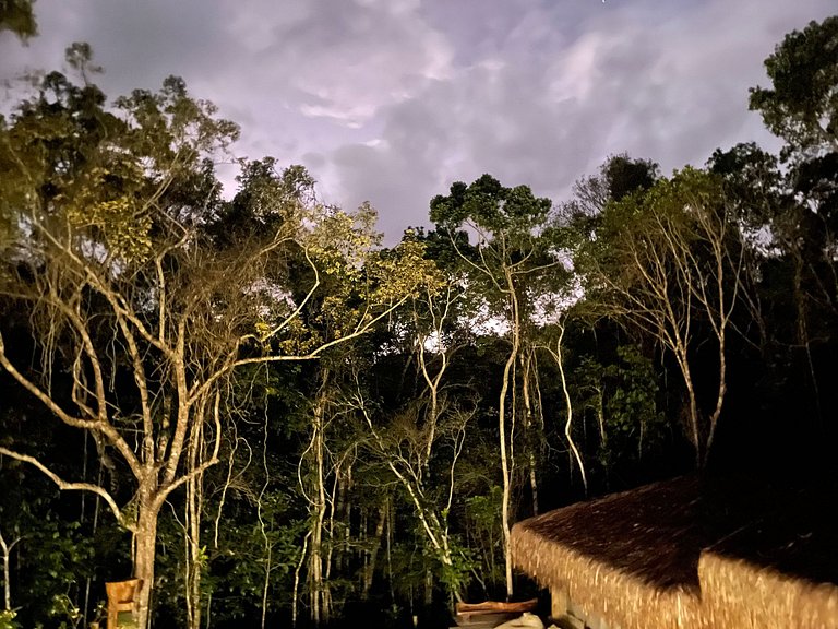 Bah257 - House surrounded by nature in Trancoso