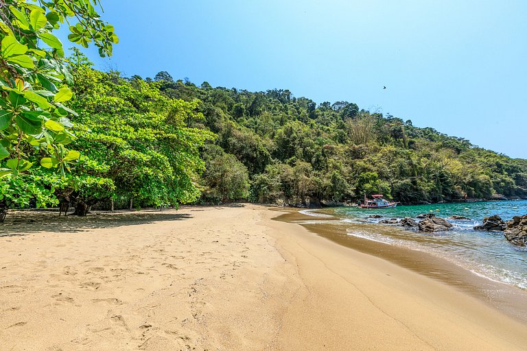 Pty008 - Luxury beachfront villa in Paraty