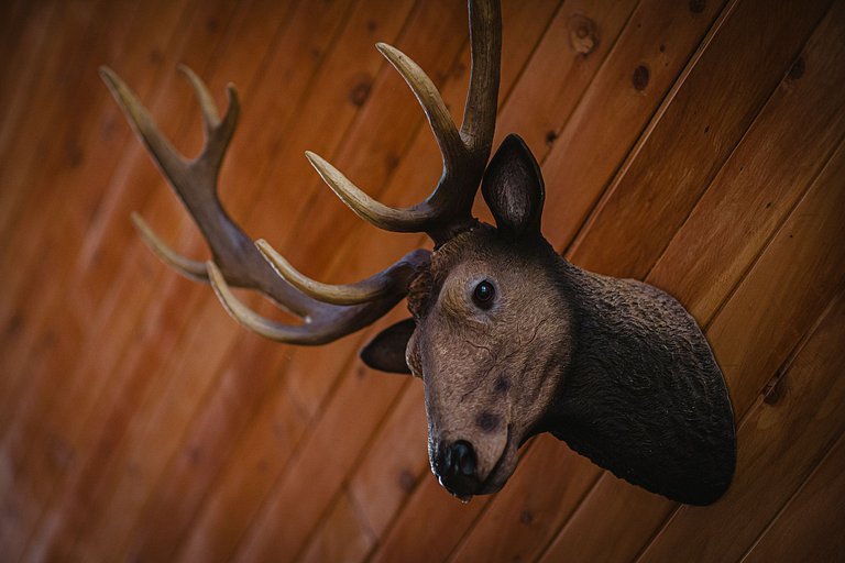 Med012 - Cabaña de lujo junto al lago en El Peñol, Guatapé