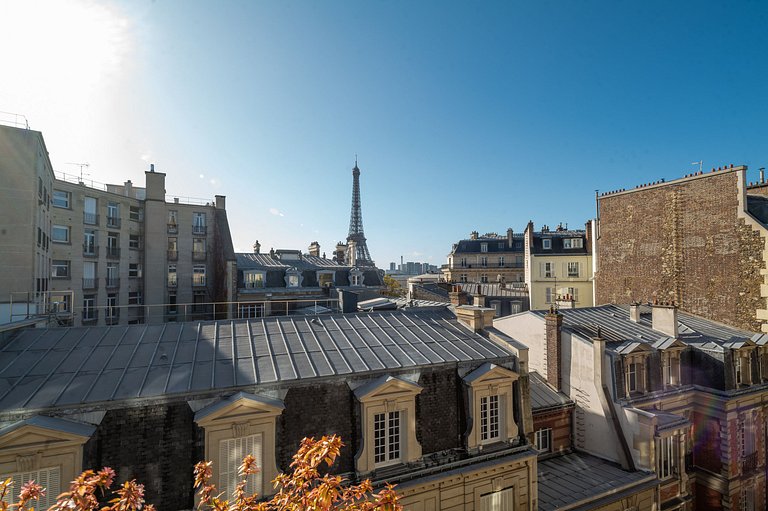 Par057 - Breathtaking duplex penthouse in Paris