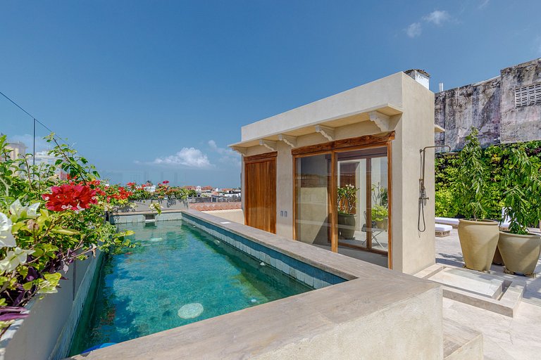 Car084 - Apartment with rooftop terrace in Cartagena's Cente
