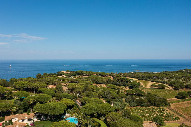 Azu021 - provencal Villa in St Tropez, French Riviera