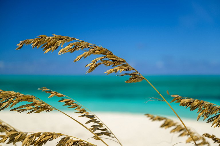 Tci018 – Luxury beachfront villa in Grace Bay