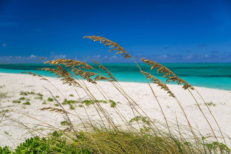 Tci018 – Villa de luxe en bord de mer à Grace Bay
