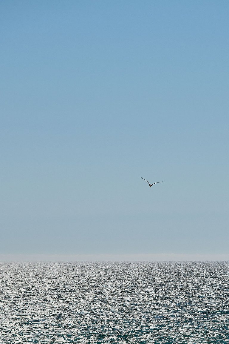 Alg001 - Villa élégante en Algarve, Portugal