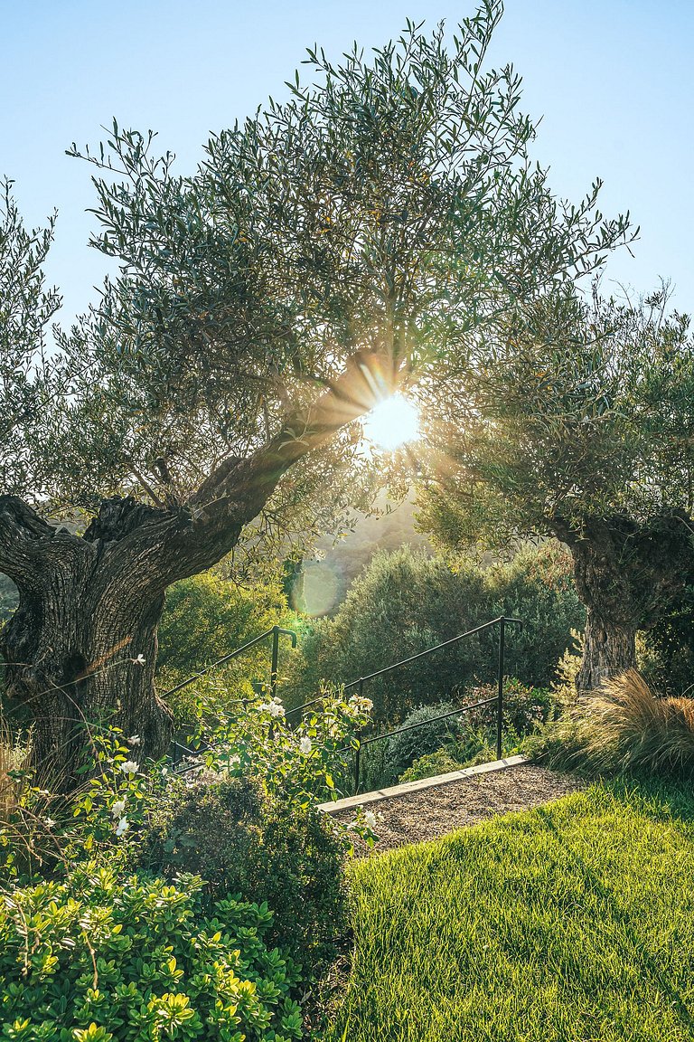 Azu055 - Luxury villa and pool house in Ramatuelle