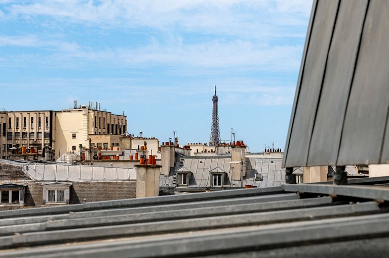 Par014 - Exceptional Penthouse in Saint-Germain