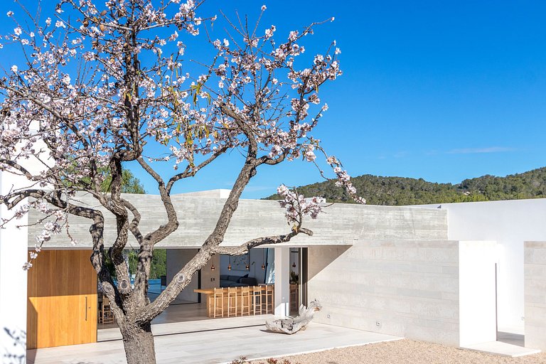 Ibi010 - Luxury villa in San Josep - Ibiza