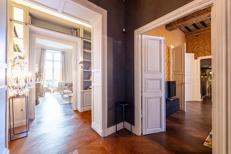 Par169 - Unique apartment on Place des Vosges