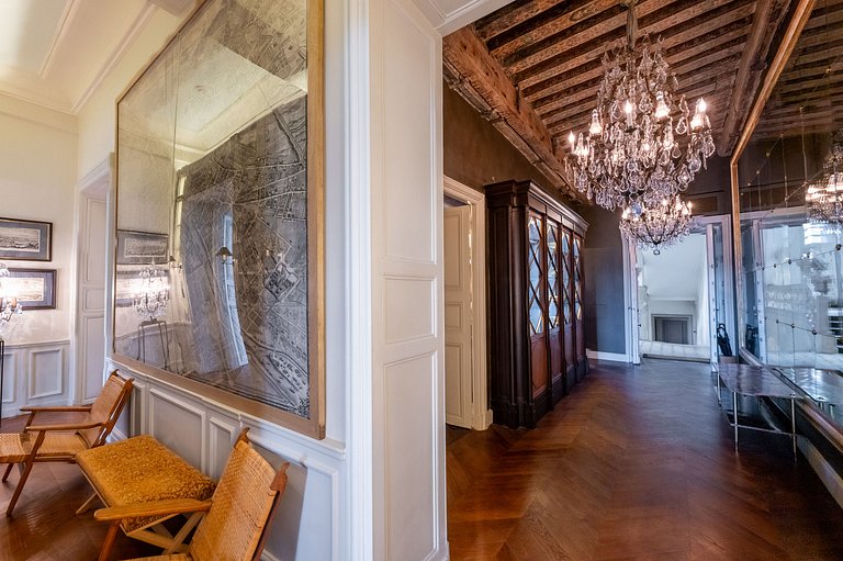 Par169 - Unique apartment on Place des Vosges