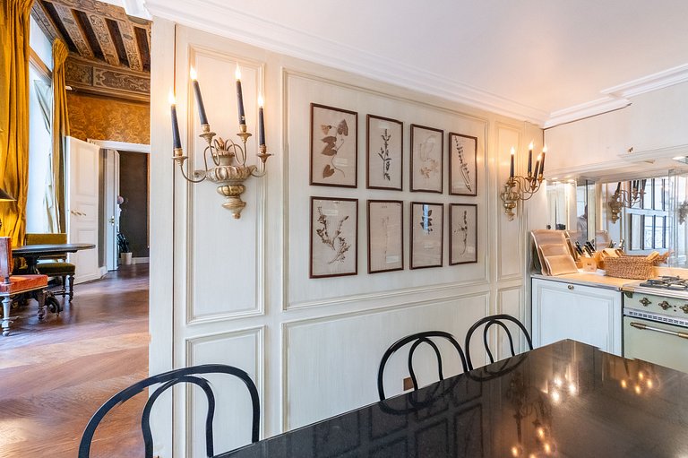 Par169 - Unique apartment on Place des Vosges