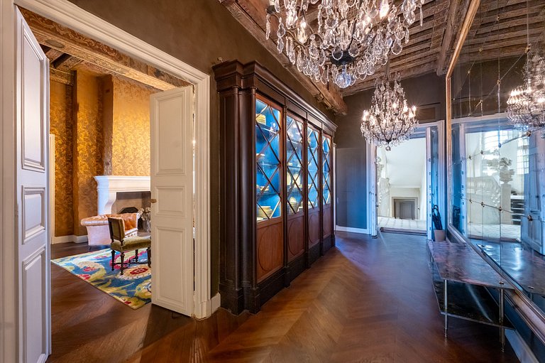 Par169 - Unique apartment on Place des Vosges