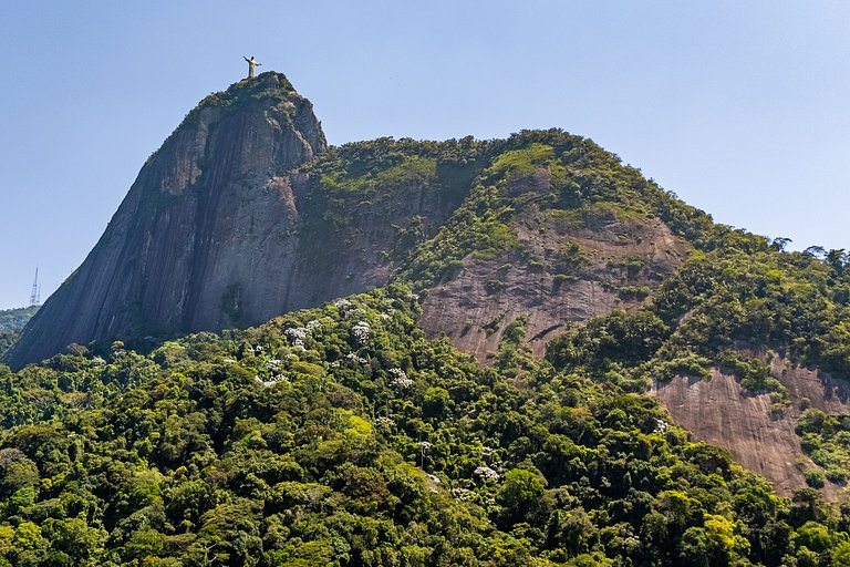 Rio013 - Vende-se imóvel histórico no Jardim Botânico
