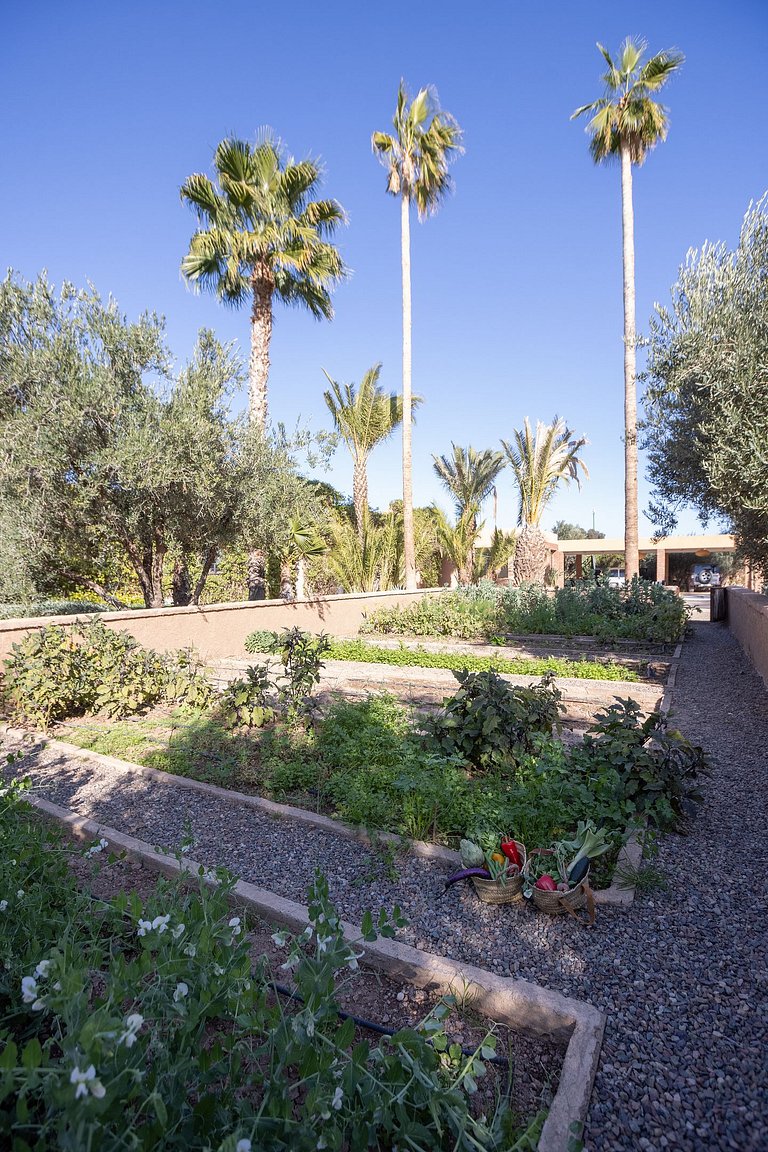 Mrk002 - Villa encantadora en Marrakech