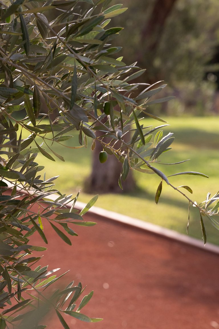 Mrk002 – Charming villa in Marrakech