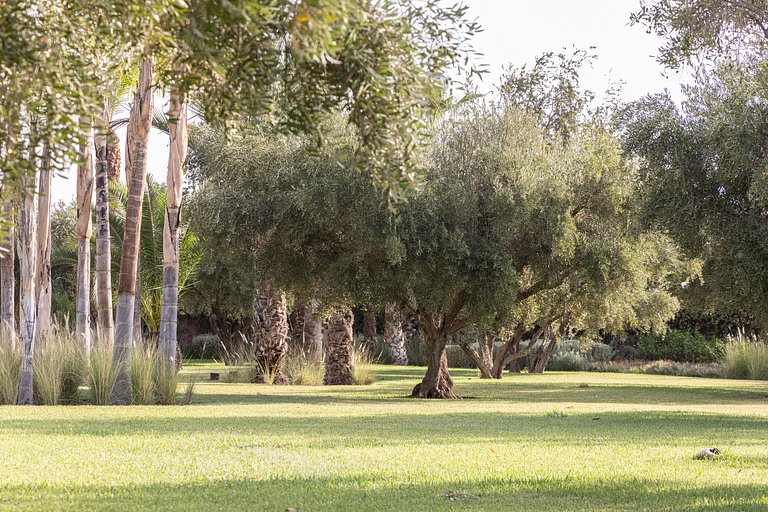 Mrk002 – Charming villa in Marrakech