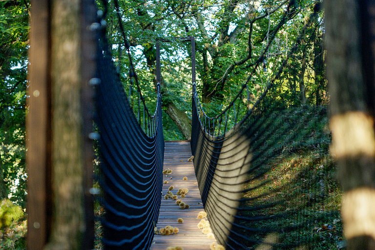 Lom003 - Villa com vista para o Lago Como, Pigra