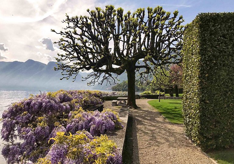 Lom002 - Italian Palace on Lake Como