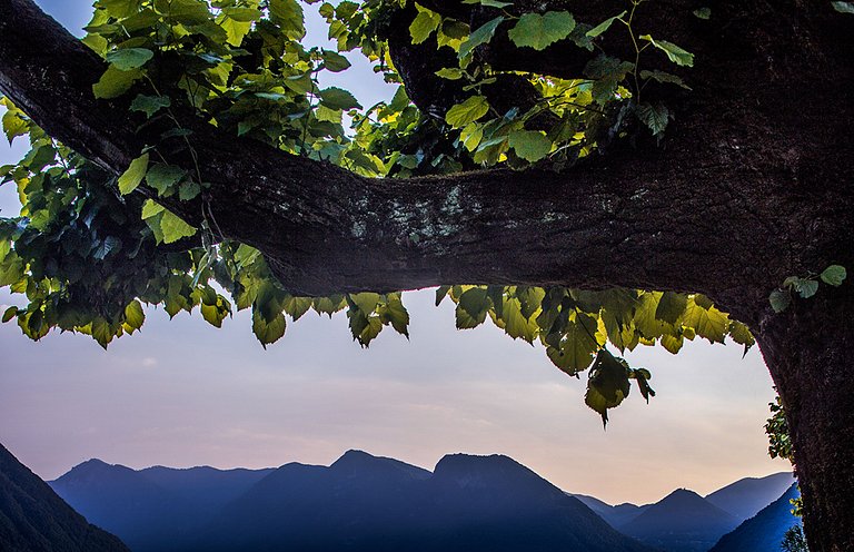 Lom002 - Italian Palace on Lake Como