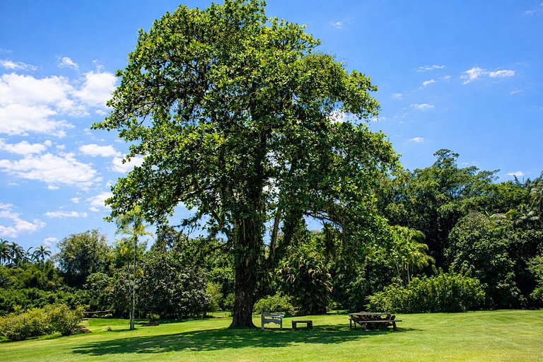 Ang054 - A Tropical Sanctuary in Porto Frade