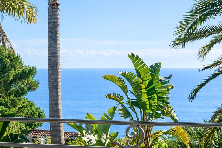 Azu058 - Sumptuous Belle Époque Palace in Cannes