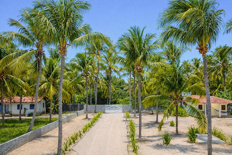 Ala005 - Seaside villa in Praia do Marceneiro, Alagoas
