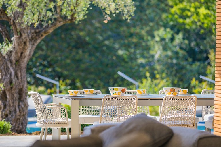 Azu128 – Elegant garden villa with pool in Cannes