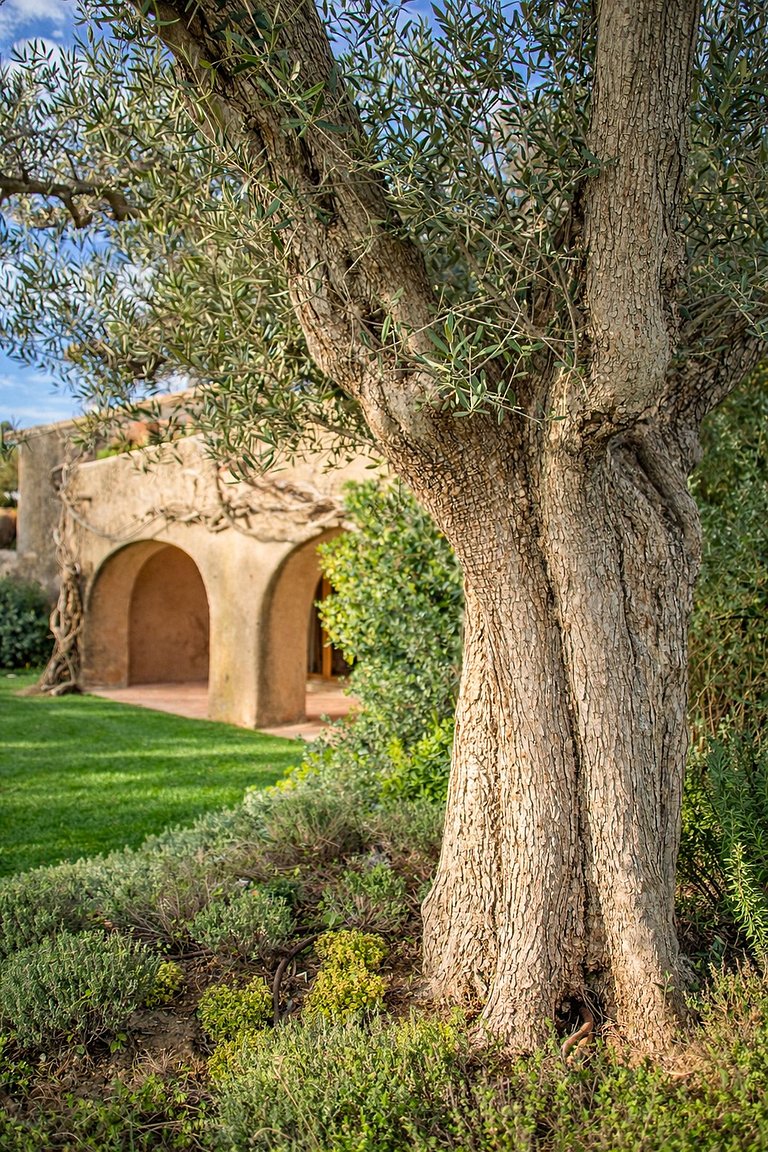 Azu032 - Villa d'exception à Saint-Tropez