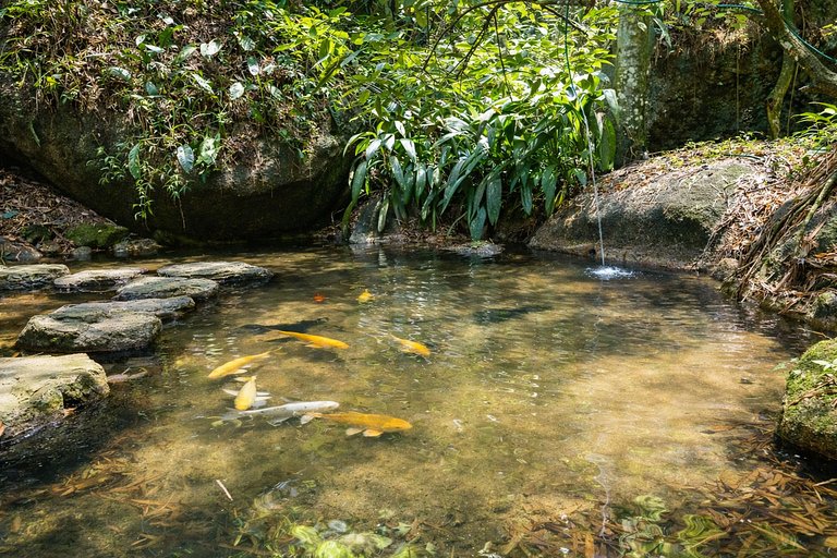 Pty008 - Luxury beachfront villa in Paraty