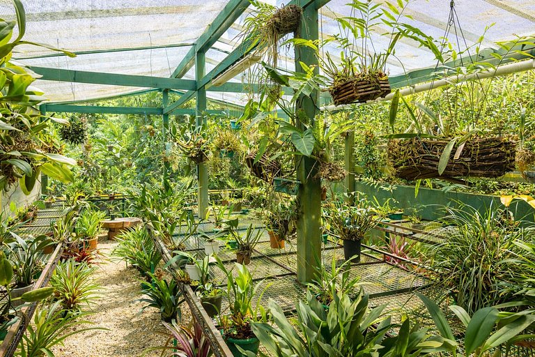 Pty008 - Luxury beachfront villa in Paraty