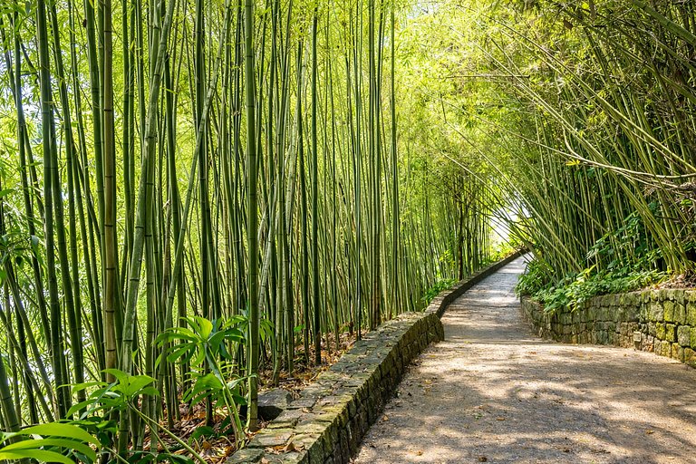 Pty008 - Luxury beachfront villa in Paraty