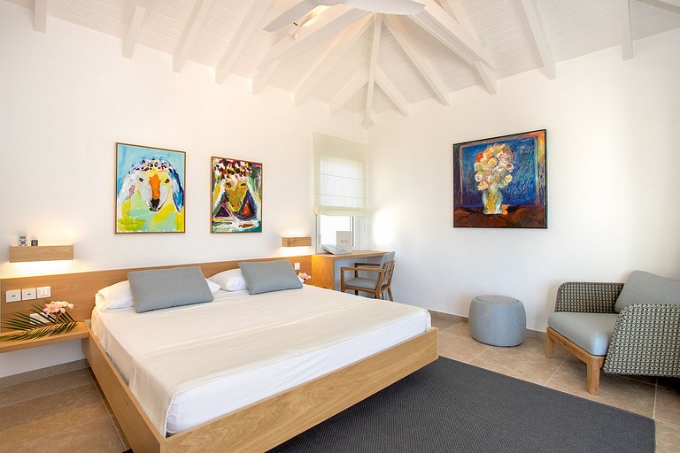 Sxm017 – Villa com vista para o mar com piscina em Terres Ba