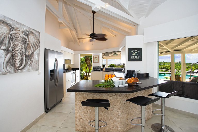 Sxm040 – Elegante villa com vista para a lagoa em Terres Bas