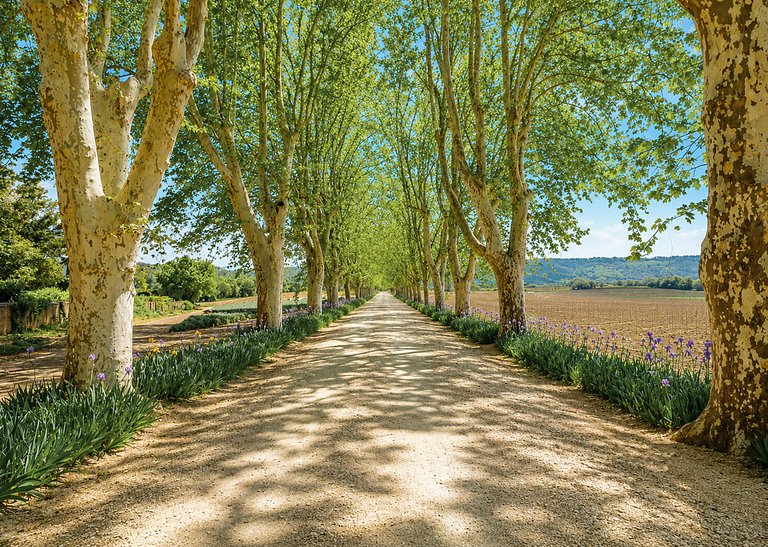 Pro006 - Beautiful Castle in Provence