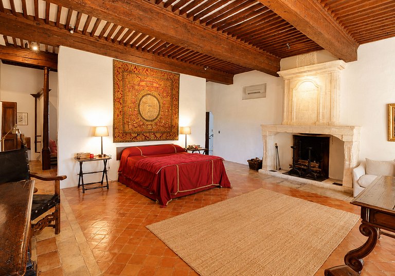 Pro006 - Beautiful Castle in Provence